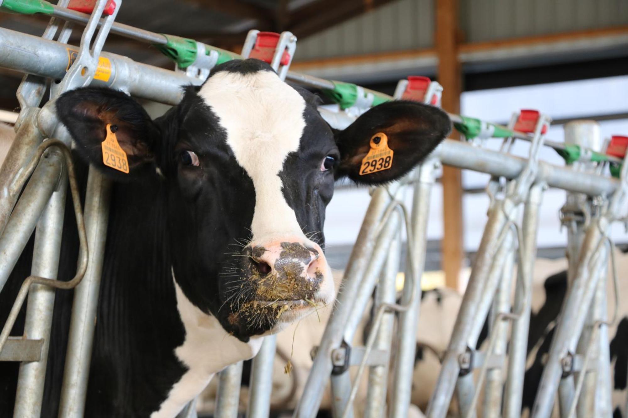 Le Thuit - F2 Plain Pied Tout Equipe A La Ferme Charleval  Екстериор снимка