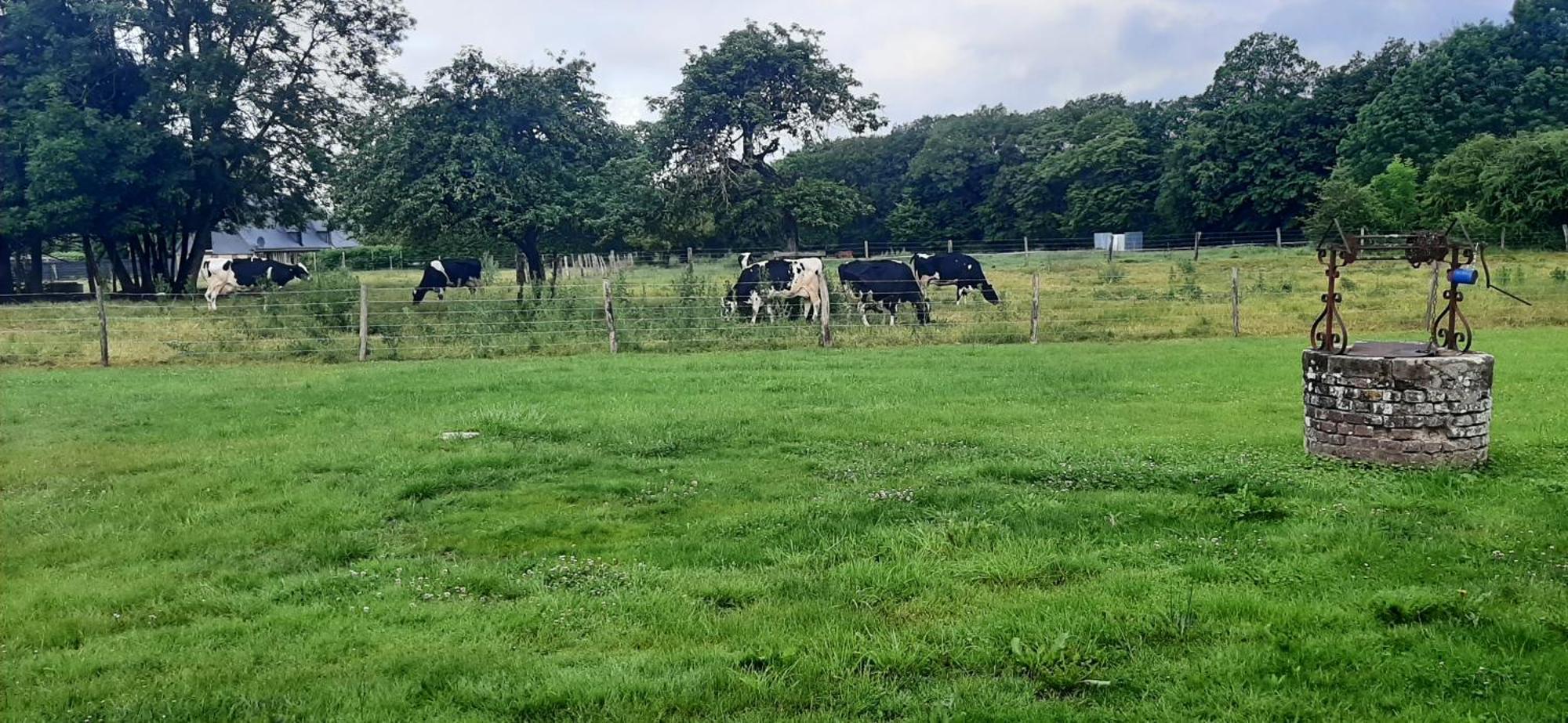 Le Thuit - F2 Plain Pied Tout Equipe A La Ferme Charleval  Екстериор снимка